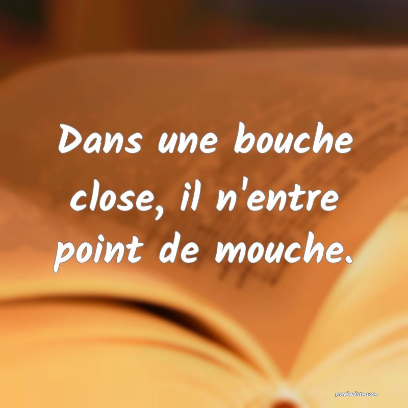 Dans une bouche close, il n'entre point de mouche.