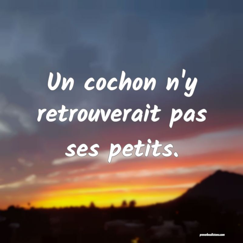 Un cochon n'y retrouverait pas ses petits.