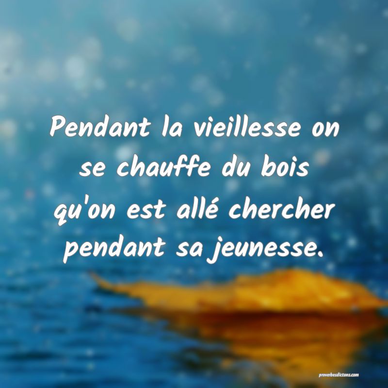 Pendant la vieillesse on se chauffe du bois qu'on est allé chercher pendant sa jeunesse.