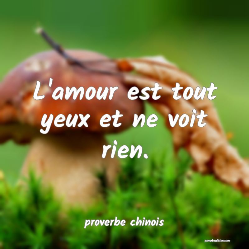 L'amour est tout yeux et ne voit rien.