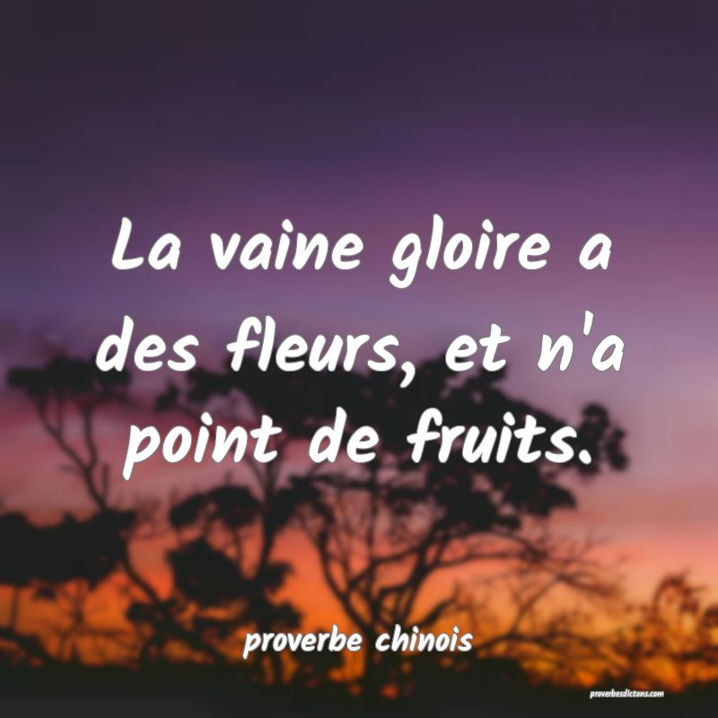 La vaine gloire a des fleurs, et n'a point de fruits.