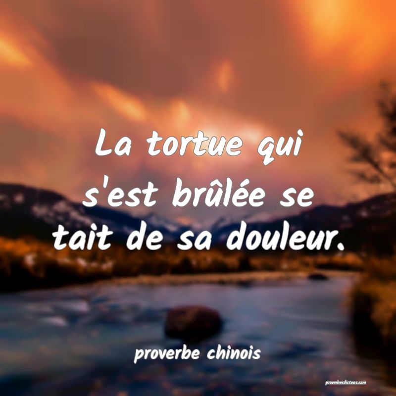 La tortue qui s'est brûlée se tait de sa douleur.