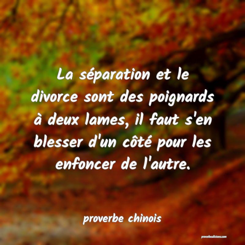 La séparation et le divorce sont des poignards à deux lames, il faut s'en blesser d'un côté pour les enfoncer de l'autre.