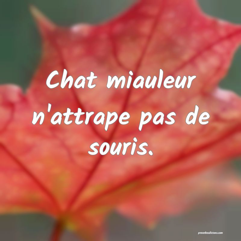 Chat miauleur n'attrape pas de souris.