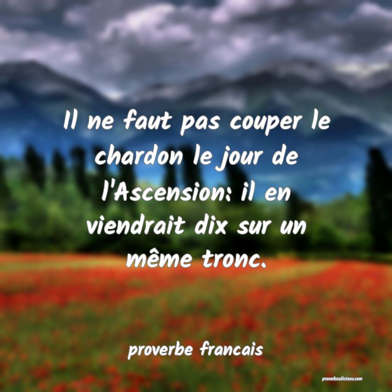 Il ne faut pas couper le chardon le jour de l'Ascension: il en viendrait dix sur un même tronc.