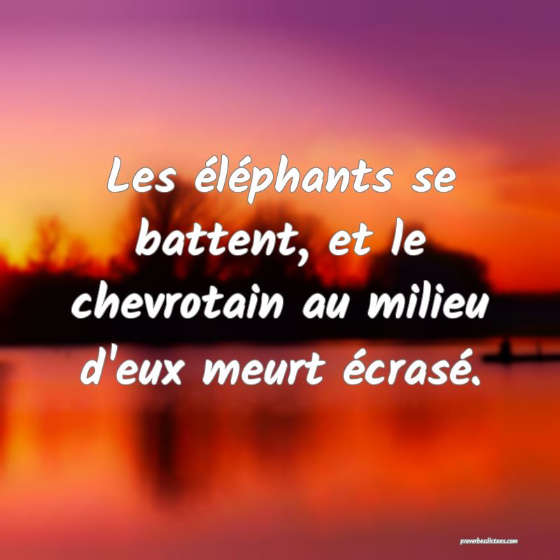 Les éléphants se battent, et le chevrotain au milieu d'eux meurt écrasé.