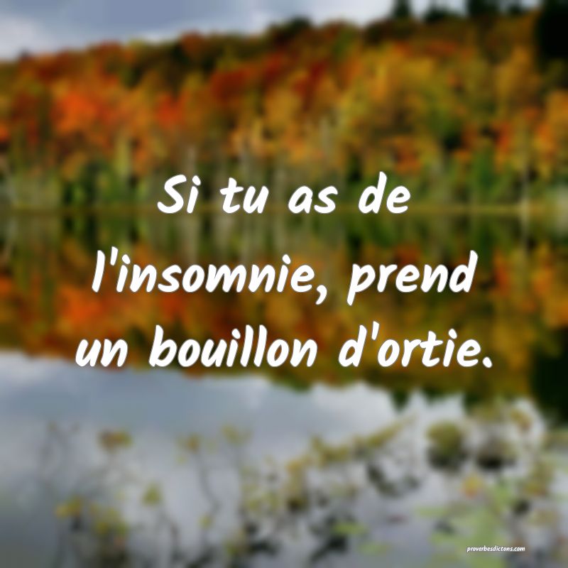 Si tu as de l'insomnie, prend un bouillon d'ortie.
