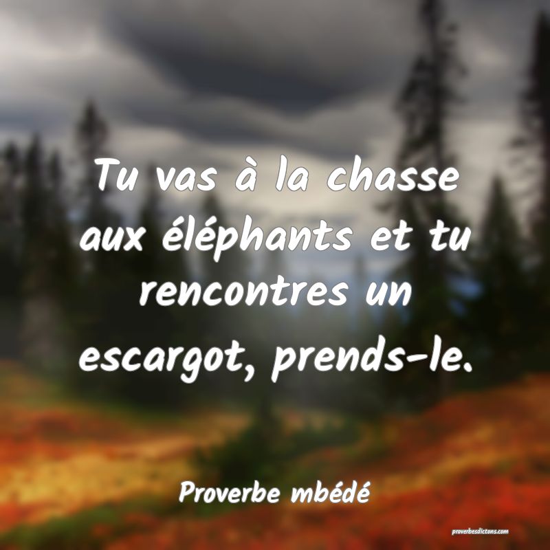 Tu vas à la chasse aux éléphants et tu rencontres un escargot, prends-le.