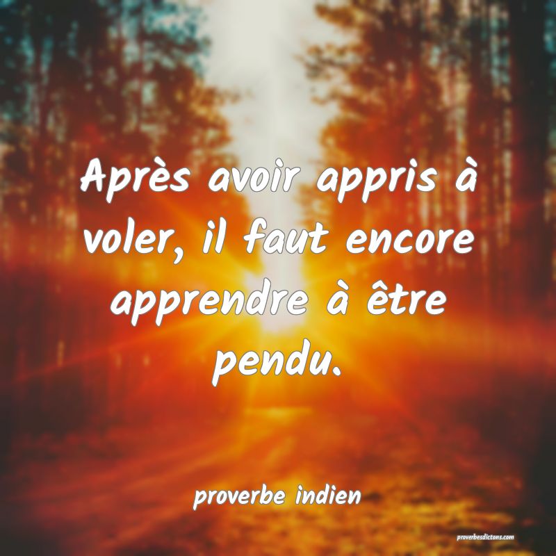 Après avoir appris à voler, il faut encore apprendre à être pendu.