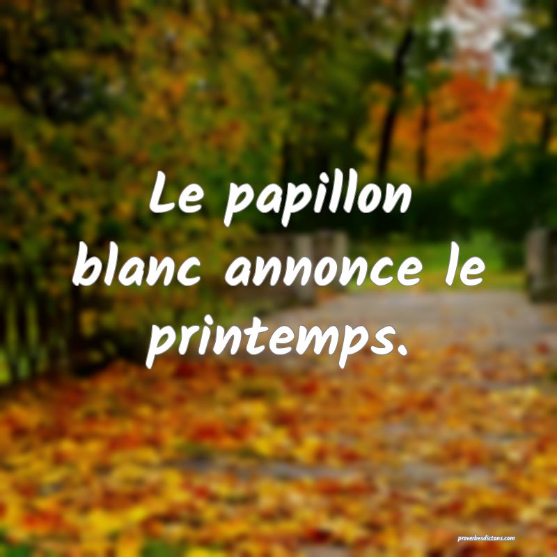 Le papillon blanc annonce le printemps.