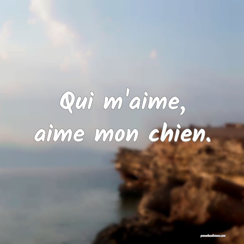 Qui m'aime, aime mon chien.