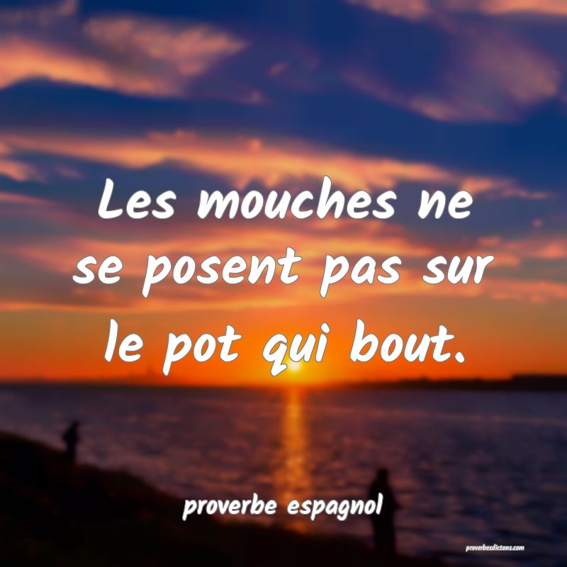 Les mouches ne se posent pas sur le pot qui bout.