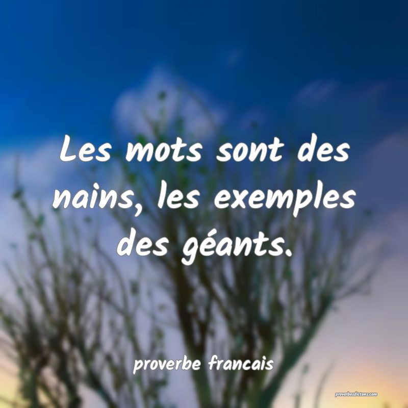 Les mots sont des nains, les exemples des géants.