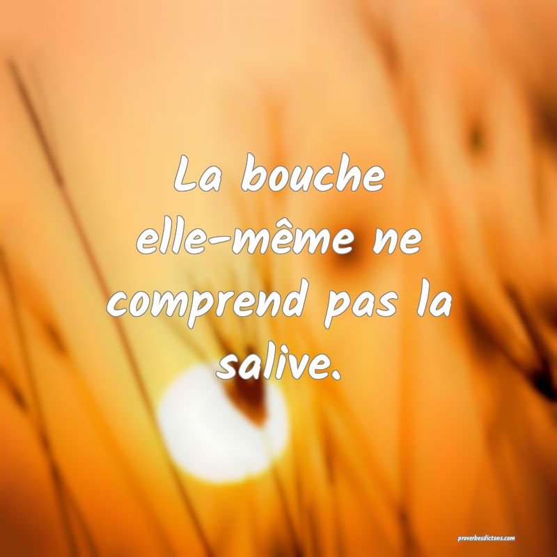 La bouche elle-même ne comprend pas la salive.