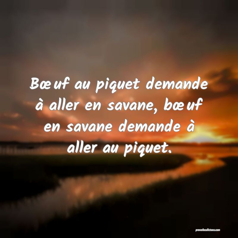 Bœuf au piquet demande à aller en savane, bœuf en savane demande à aller au piquet.
