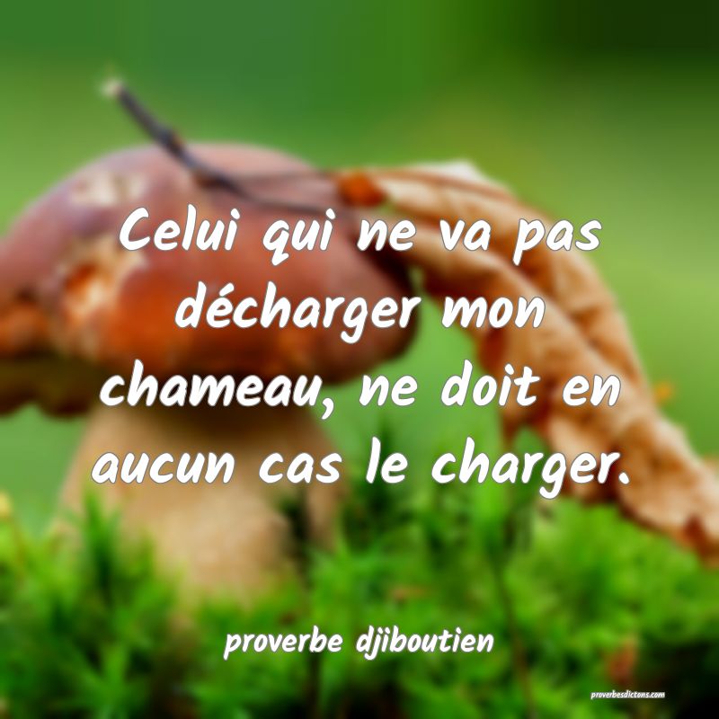 Celui qui ne va pas décharger mon chameau, ne doit en aucun cas le charger.