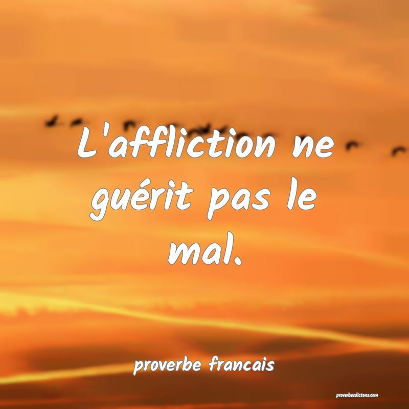 L'affliction ne guérit pas le mal.