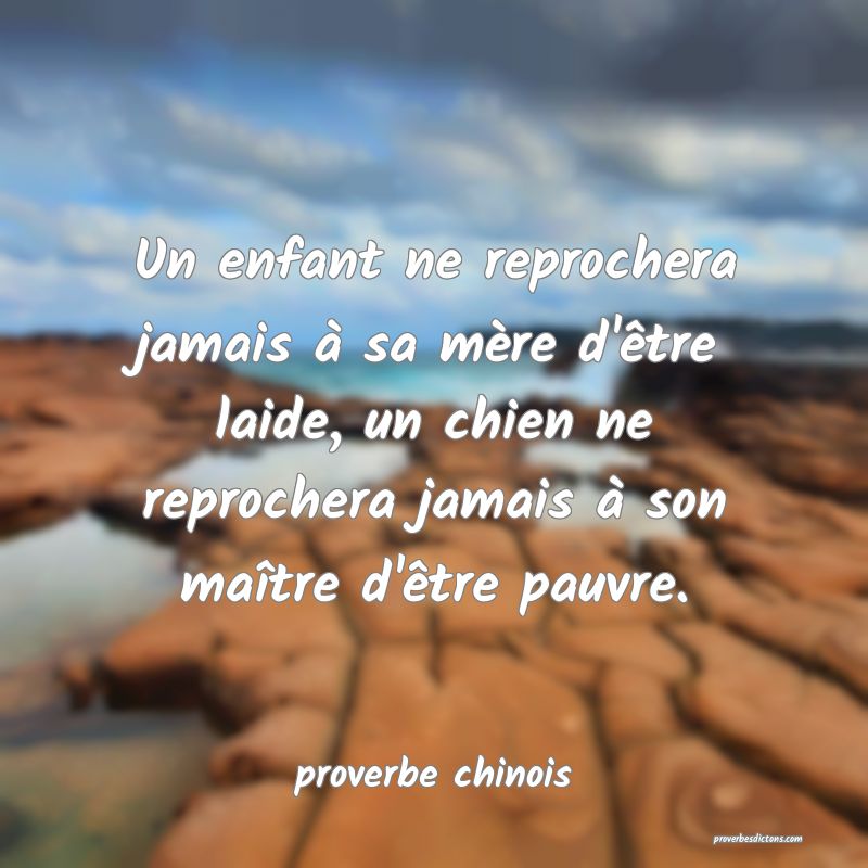 Un enfant ne reprochera jamais à sa mère d'être laide, un chien ne reprochera jamais à son maître d'être pauvre.