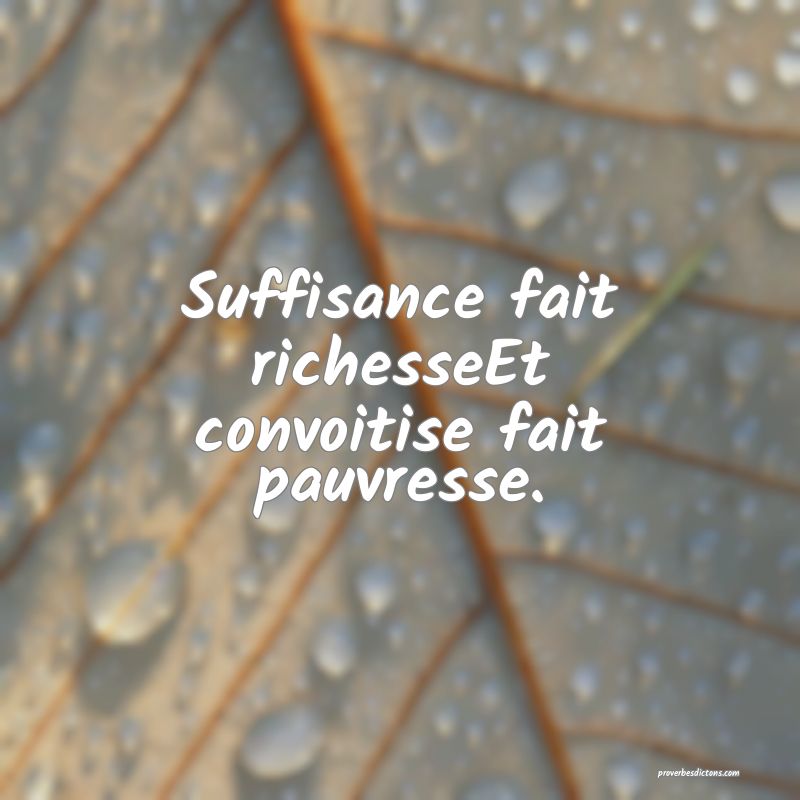 Suffisance fait richesseEt convoitise fait pauvresse.