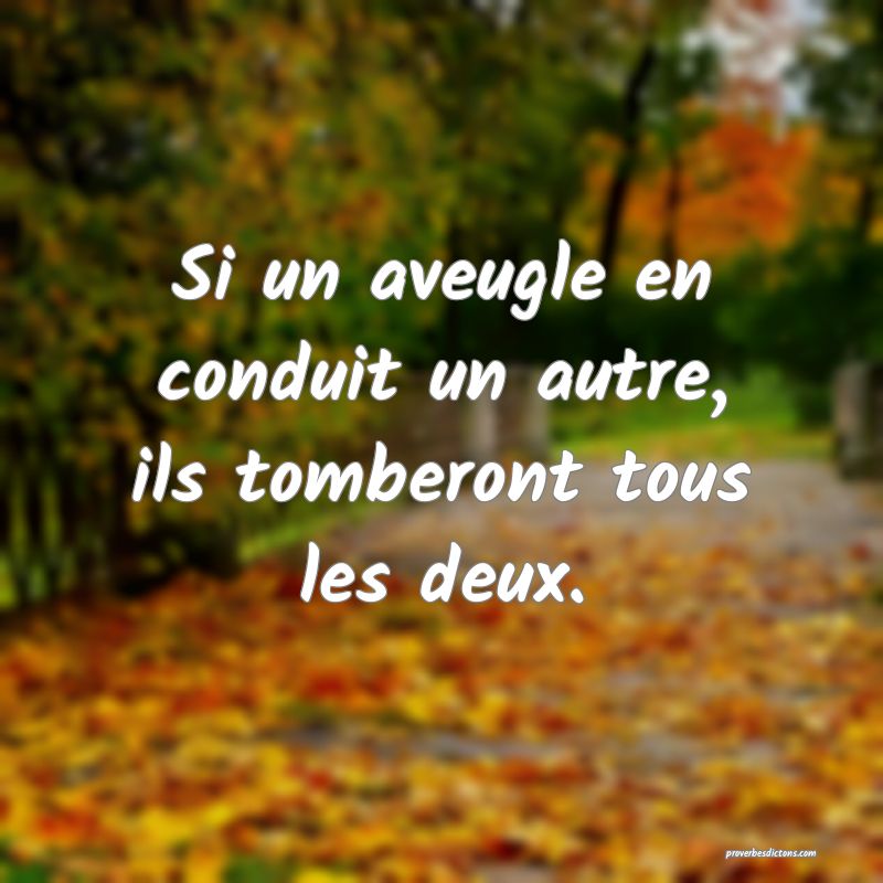 Si un aveugle en conduit un autre, ils tomberont tous les deux.