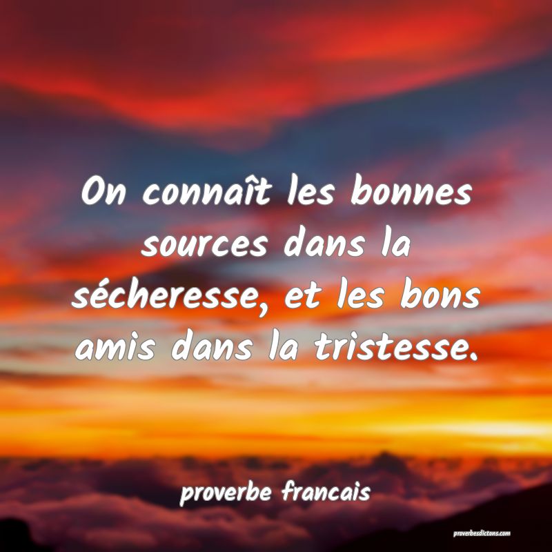 On connaît les bonnes sources dans la sécheresse, et les bons amis dans la tristesse.
