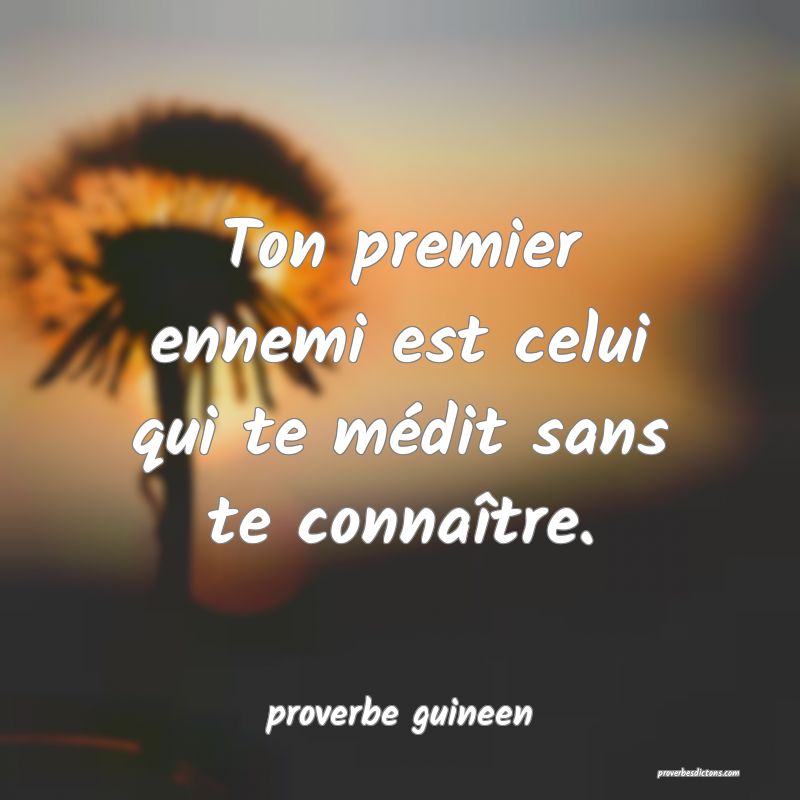 Ton premier ennemi est celui qui te médit sans te connaître.