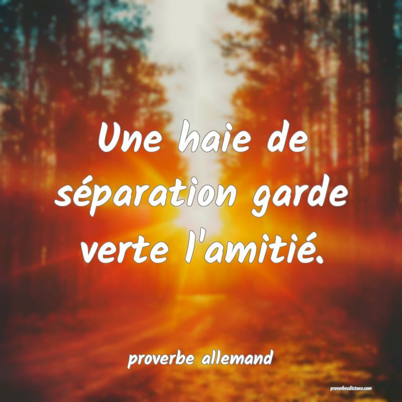  Une haie de séparation garde verte l'amitié.