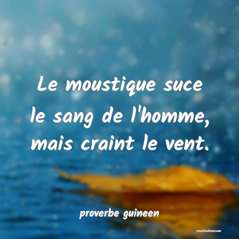 Le moustique suce le sang de l'homme, mais craint le vent.