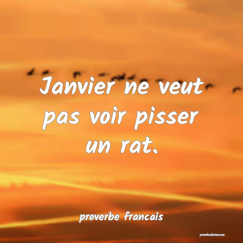 Janvier ne veut pas voir pisser un rat.