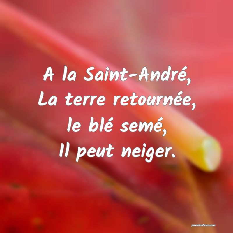 A la Saint-André,
La terre retournée,
le blé semé,
Il peut neiger.