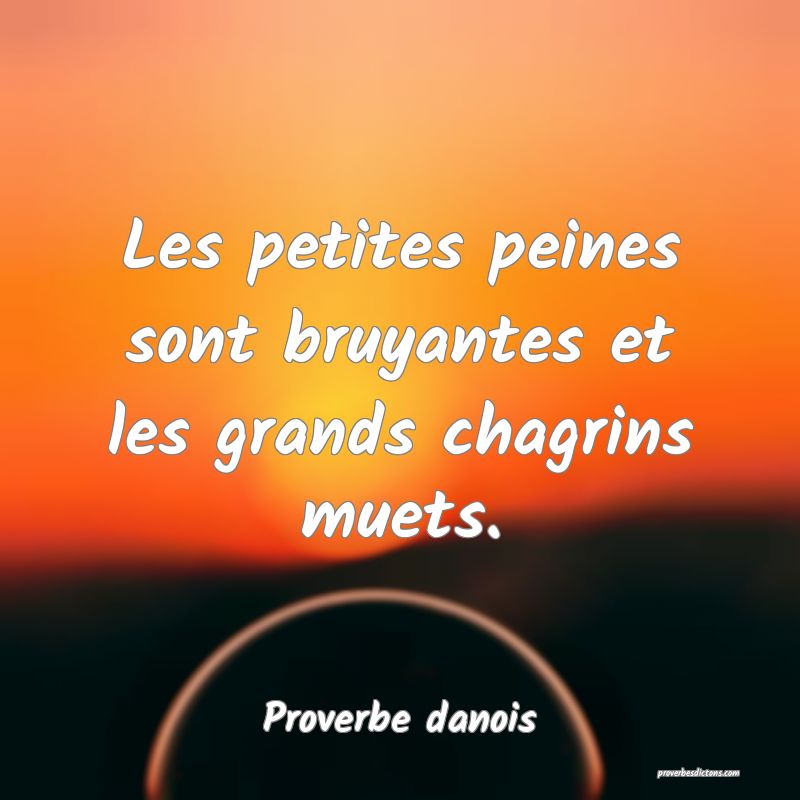 Les petites peines sont bruyantes et les grands chagrins muets.