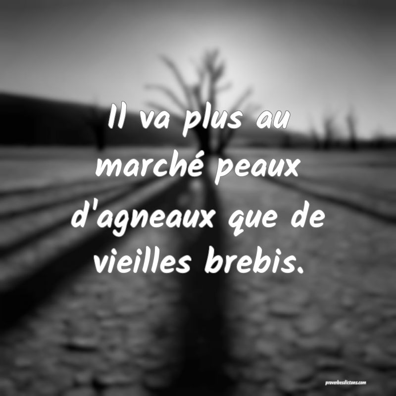 Il va plus au marché peaux d'agneaux que de vieilles brebis.