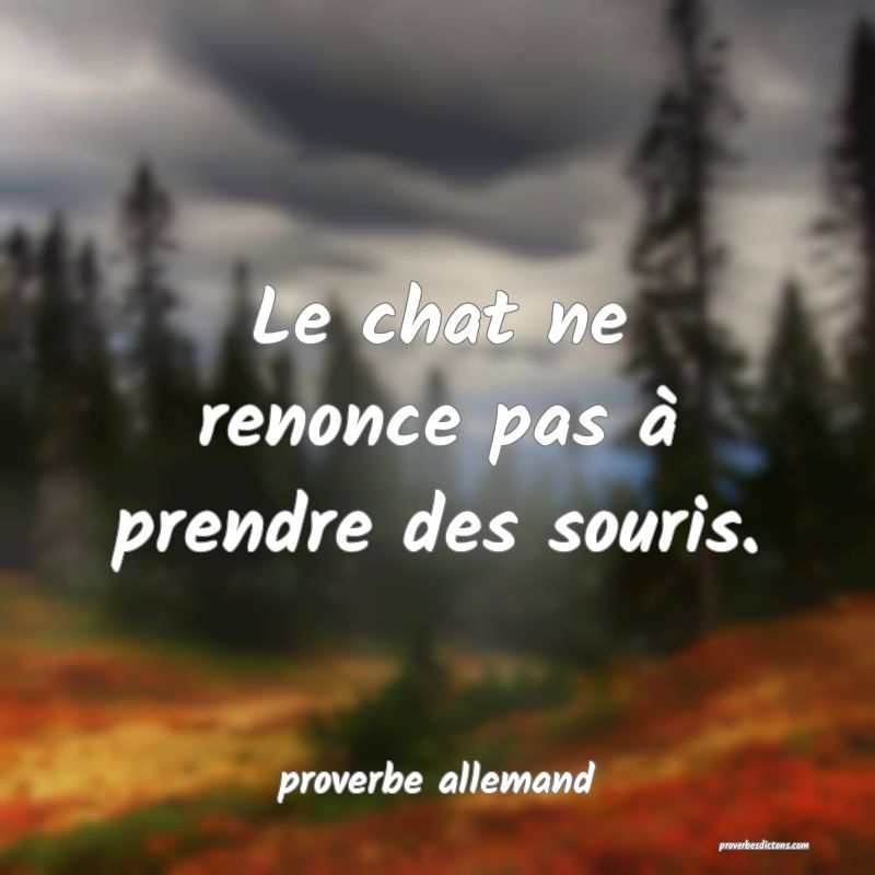  Le chat ne renonce pas à prendre des souris.