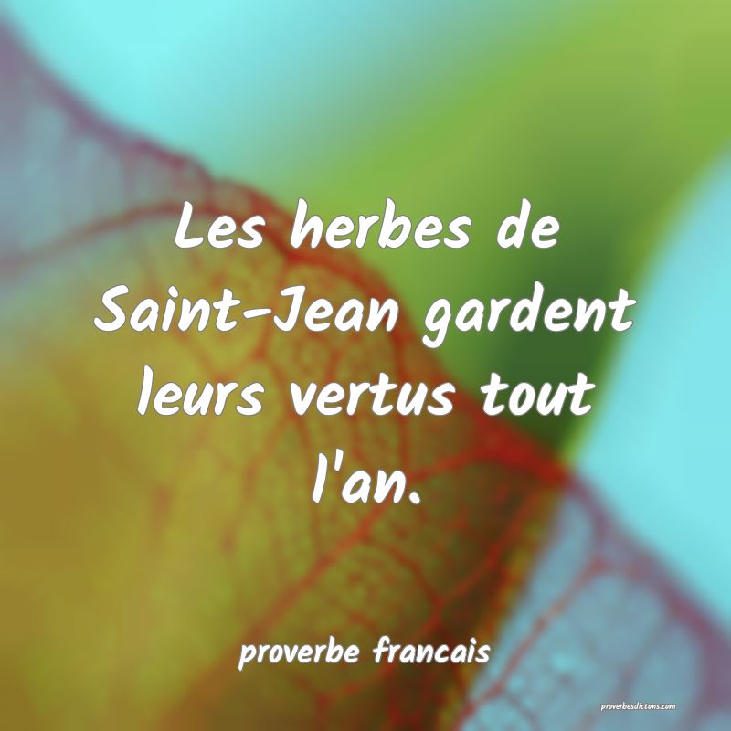 Les herbes de Saint-Jean gardent leurs vertus tout l'an.