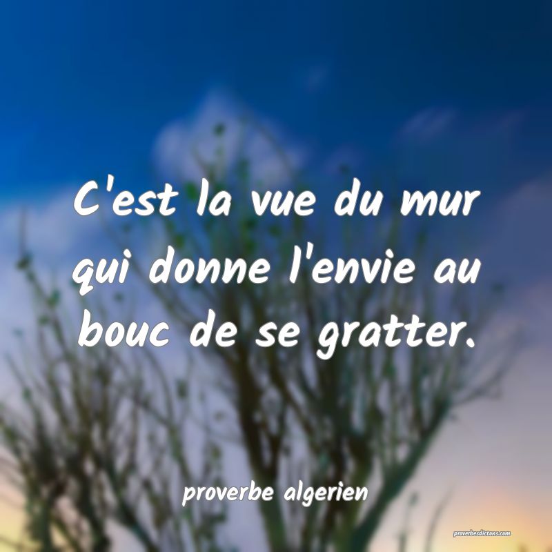  C'est la vue du mur qui donne l'envie au bouc de se gratter.