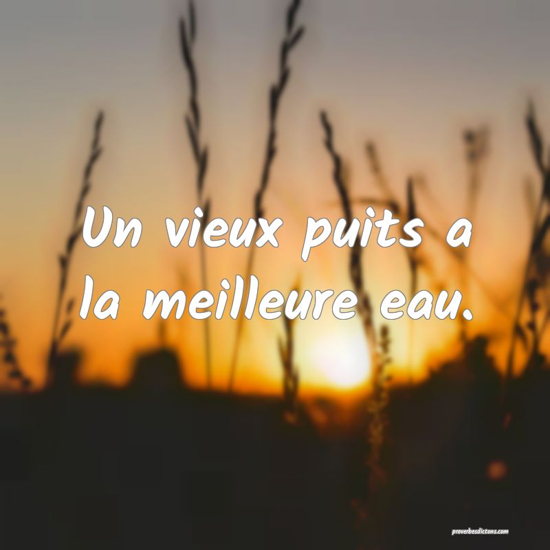 Un vieux puits a la meilleure eau.