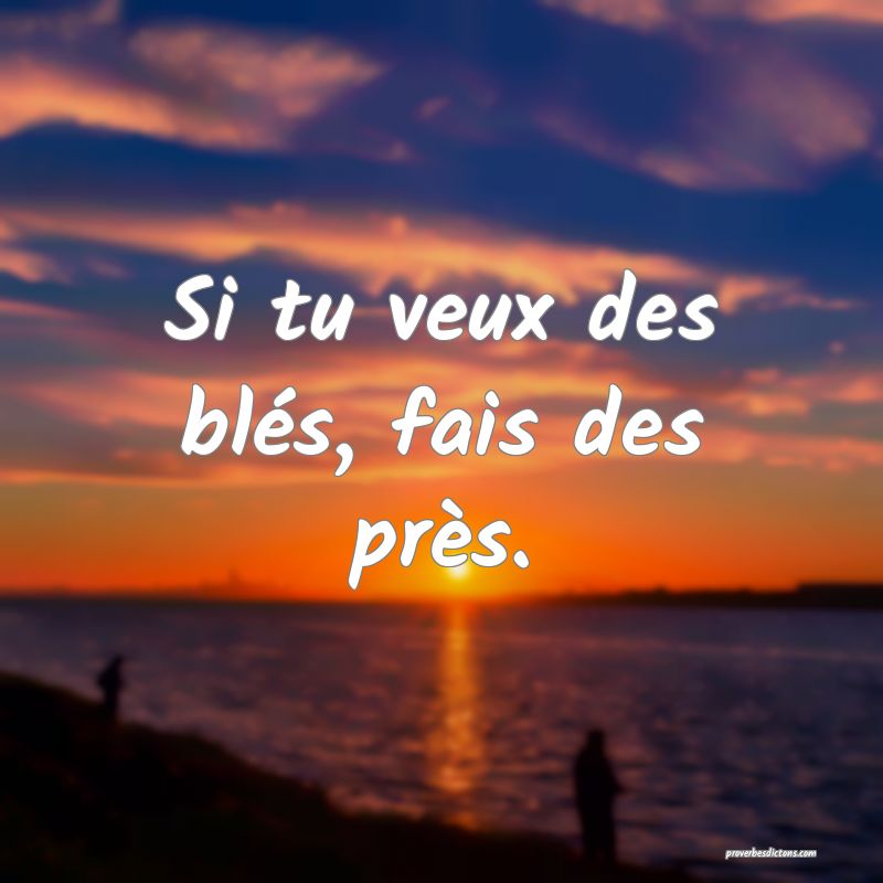 Si tu veux des blés, fais des près.