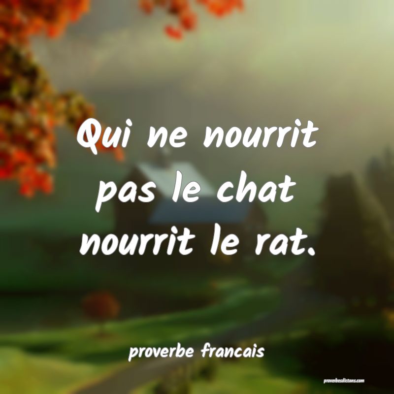 Qui ne nourrit pas le chat nourrit le rat.