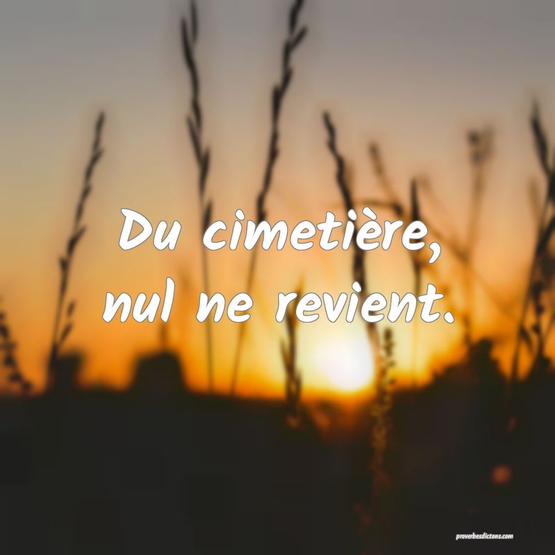 Du cimetière, nul ne revient.