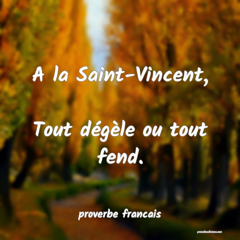A la Saint-Vincent, 
Tout dégèle ou tout fend.