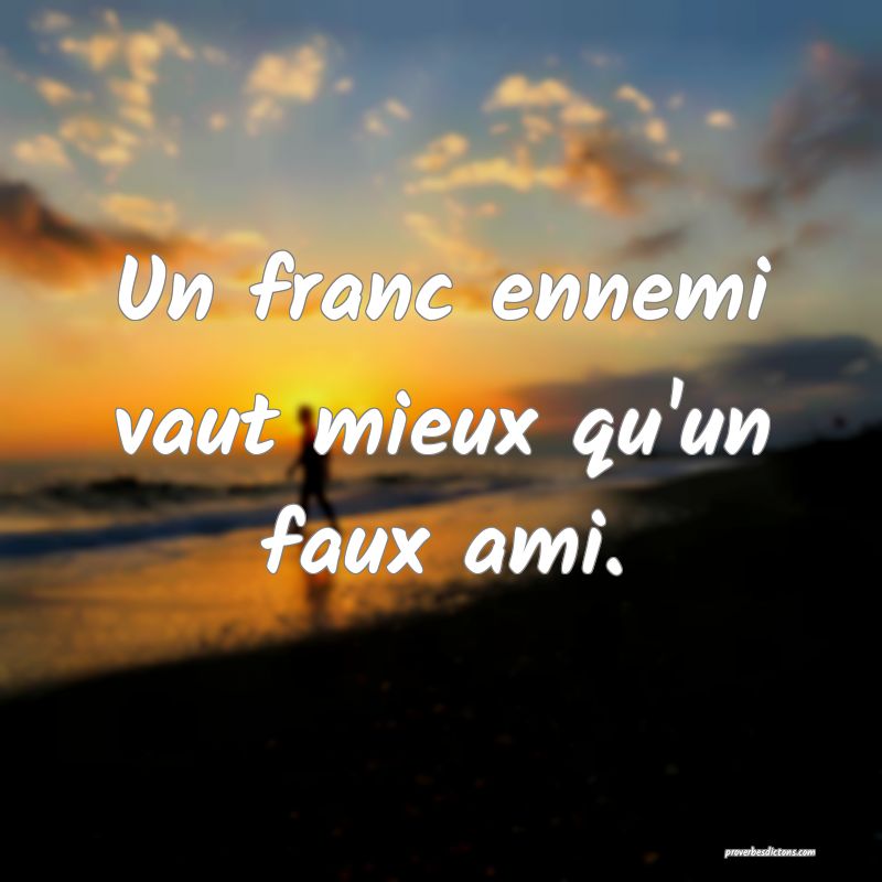 Un franc ennemi vaut mieux qu'un faux ami.