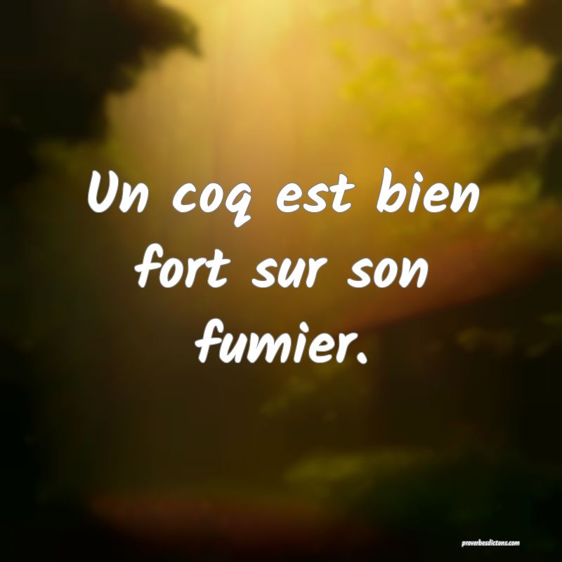 Un coq est bien fort sur son fumier.