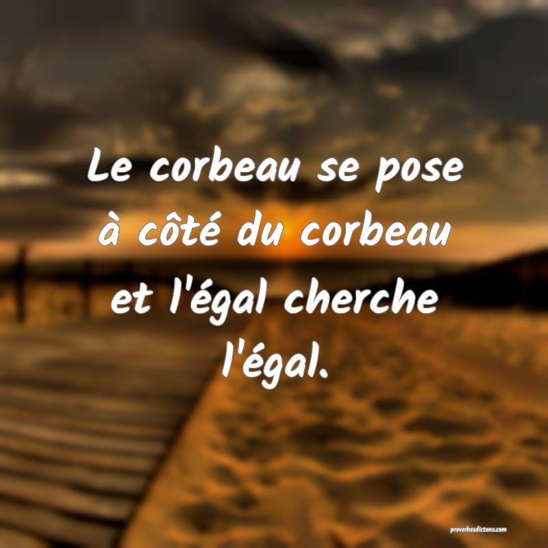 Le corbeau se pose à côté du corbeau et l'égal cherche l'égal.