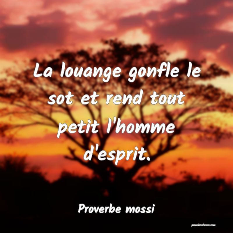 La louange gonfle le sot et rend tout petit l'homme d'esprit.