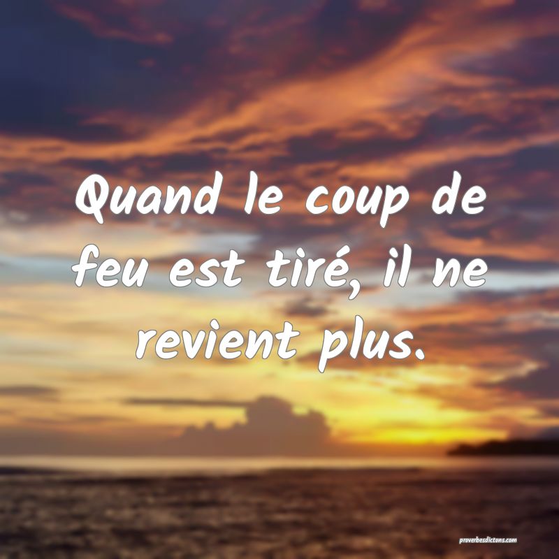 Quand le coup de feu est tiré, il ne revient plus.