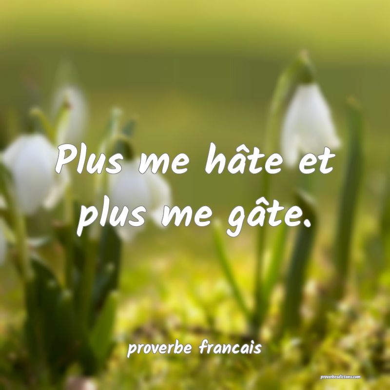 Plus me hâte et plus me gâte.