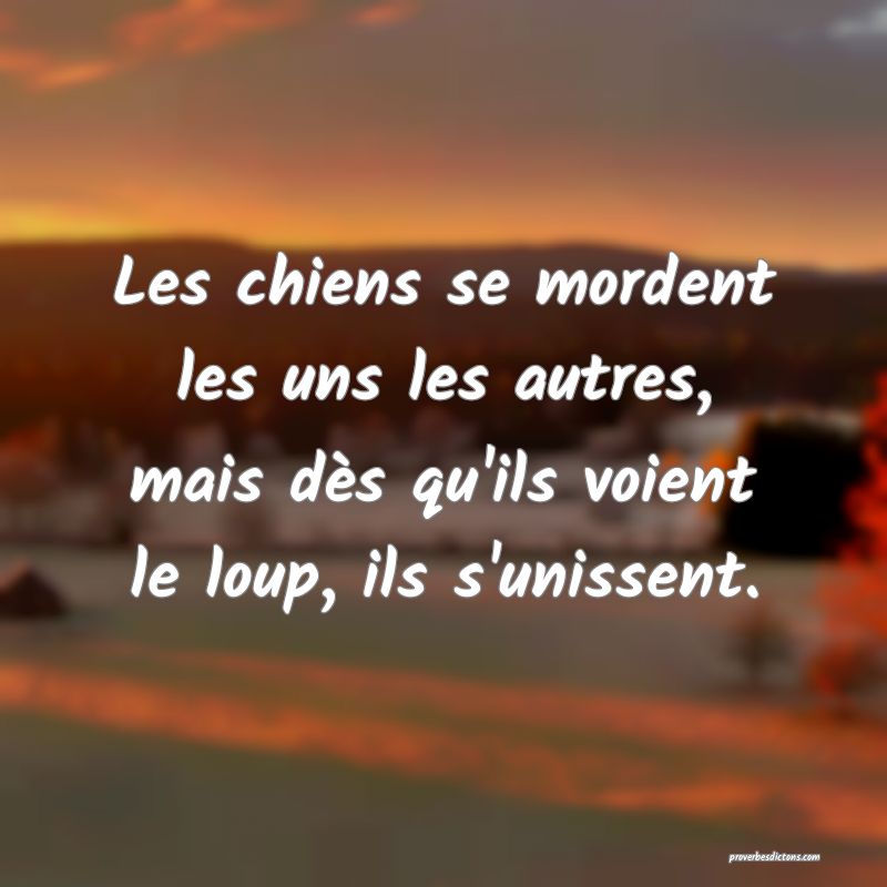 Les chiens se mordent les uns les autres, mais dès qu'ils voient le loup, ils s'unissent.