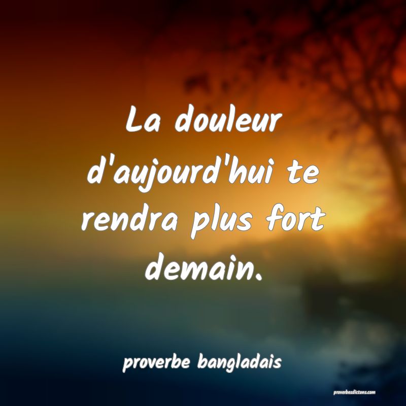  La douleur d'aujourd'hui te rendra plus fort demain.