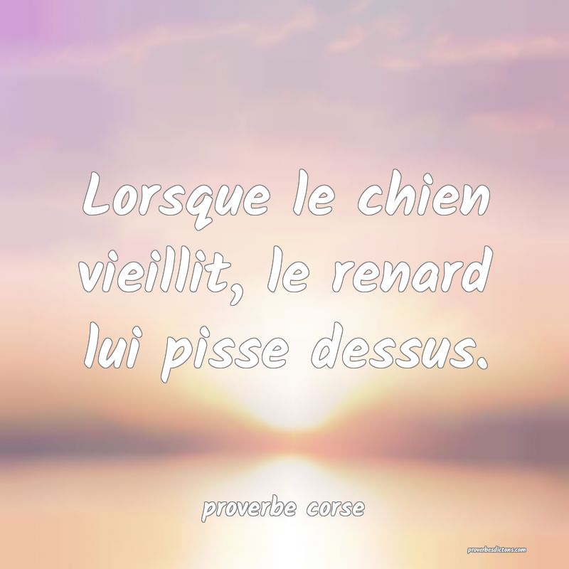  Lorsque le chien vieillit, le renard lui pisse dessus.
