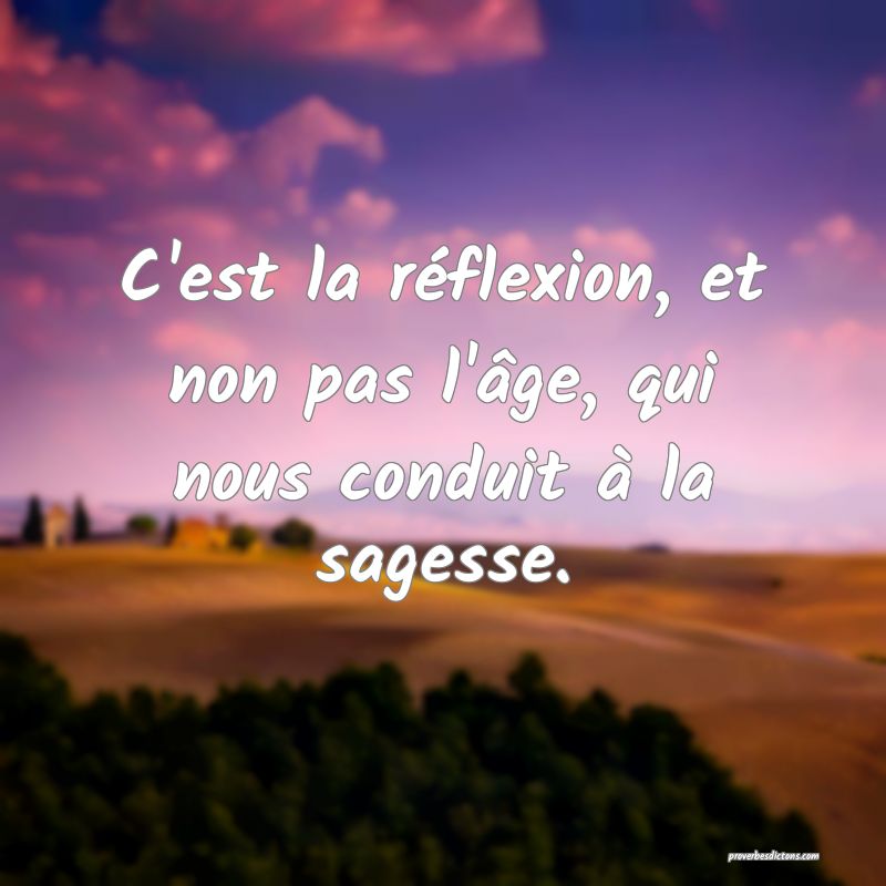 C'est la réflexion, et non pas l'âge, qui nous conduit à la sagesse.